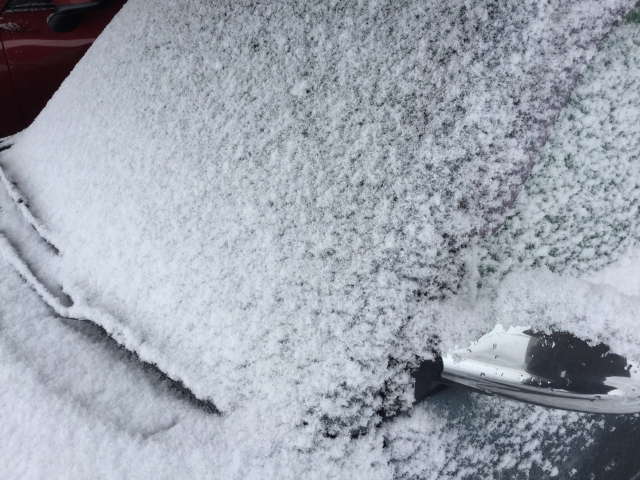 車のフロントガラスを凍結から守る 対策するならカバーとお湯 こころの花束
